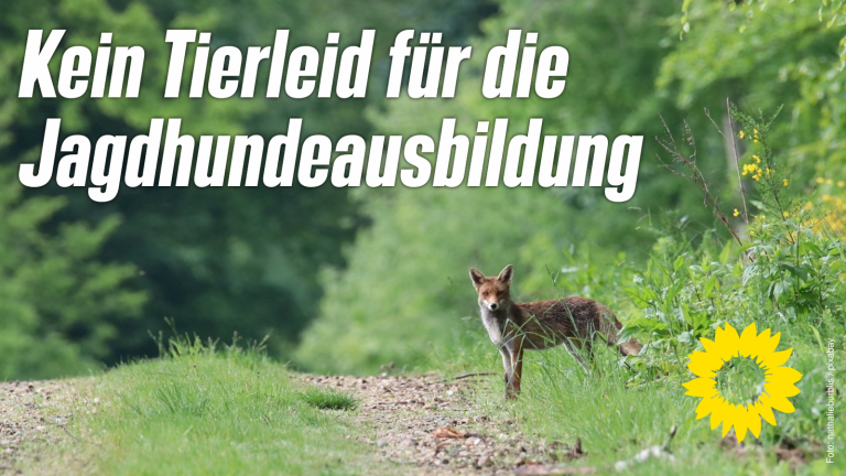 Kein Tierleid für die Jagdhundeausbildung