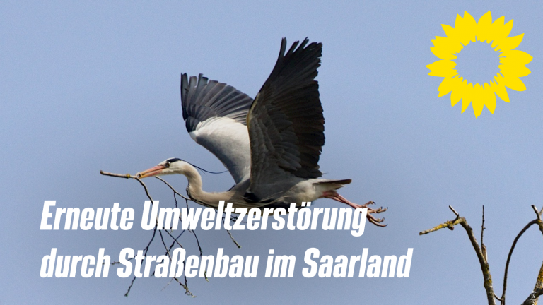 Erneute Umweltzerstörung durch Straßenbau im Saarland