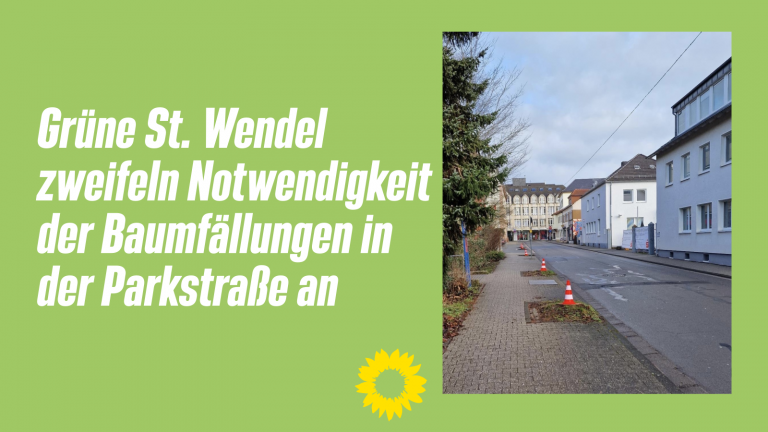 Grüne St. Wendel zweifeln Notwendigkeit der Baumfällungen in der Parkstraße an