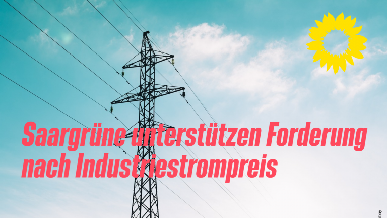 Saargrüne unterstützen Forderung nach Industriestrompreis