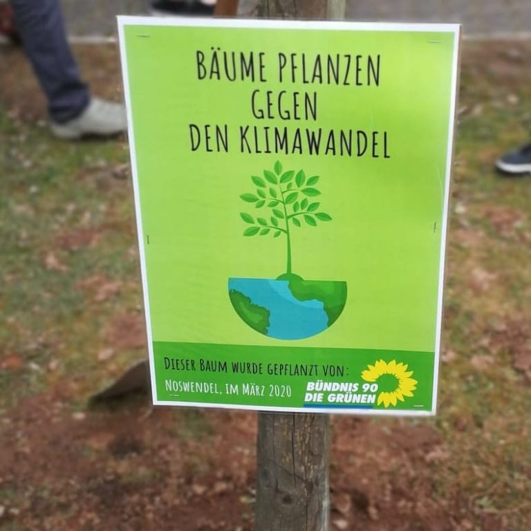 Bäume pflanzen gegen den Klimawandel