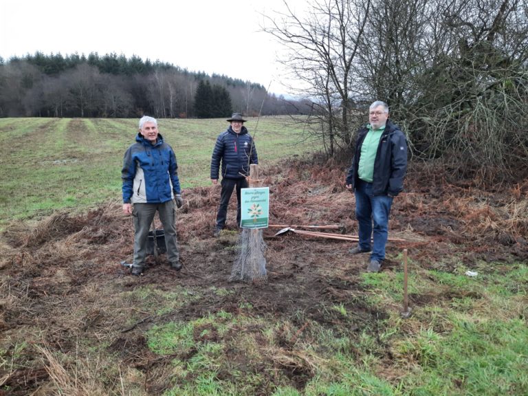 Grüne spenden einen Baum für Morscholz