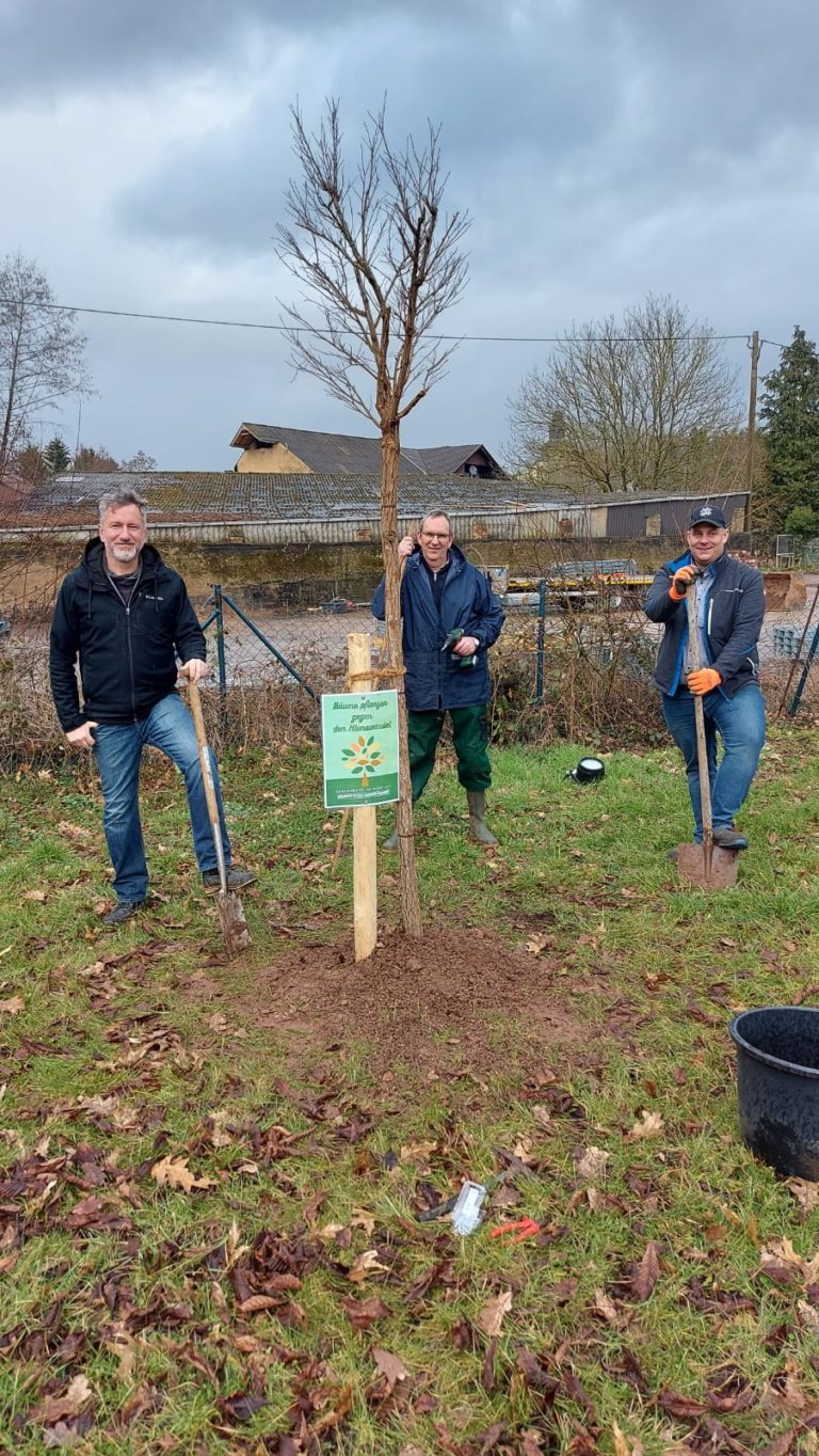 Grüne Stadtratsfraktion spendet Baum für Bardenbach