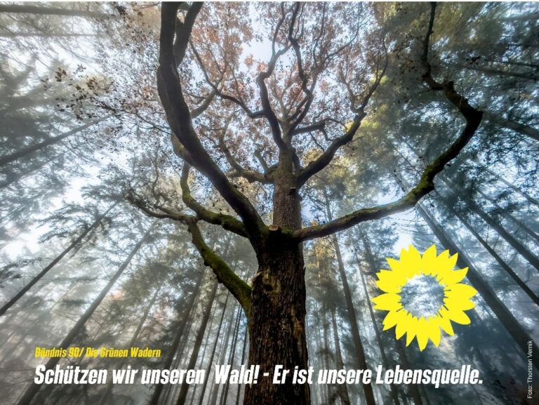 Schützen wir unseren Wald!