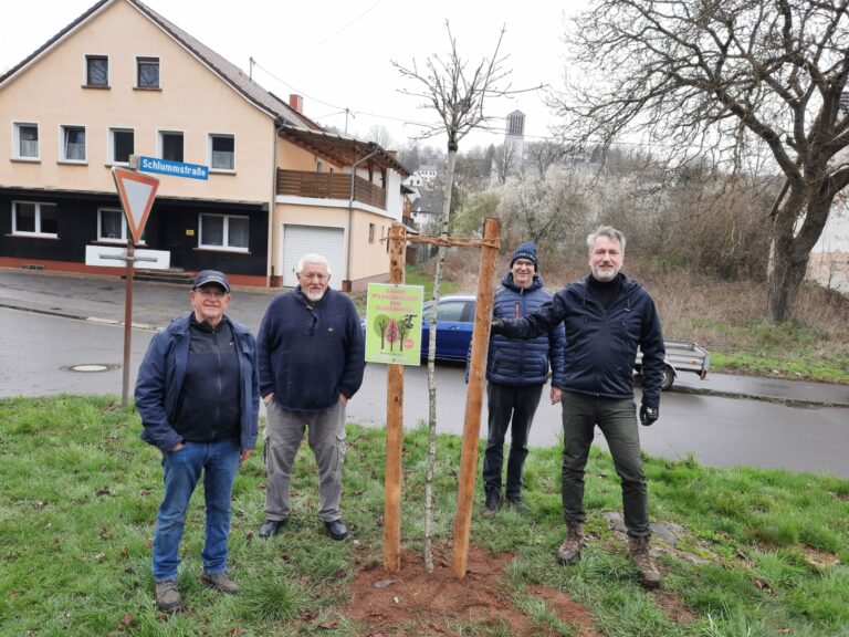 Bäume pflanzen gegen den Klimawandel und für den Frieden